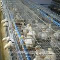 design layer chicken cages for poultry farms